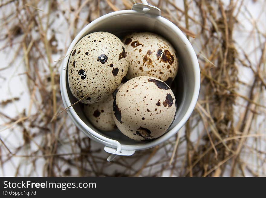 A small bucket with quail eggs