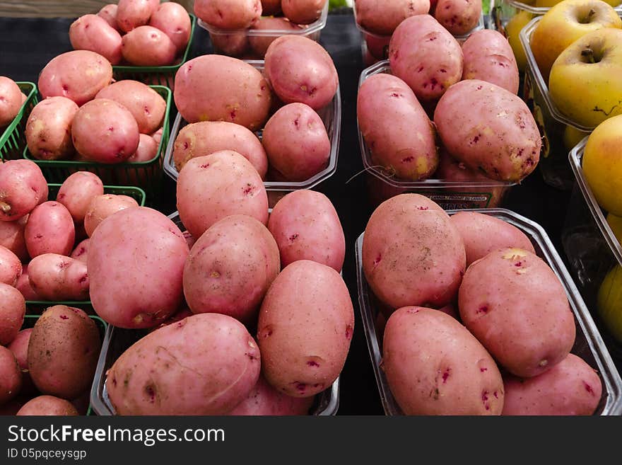 Organic Potatoes on display at outdoor Farmers Market. Organic Potatoes on display at outdoor Farmers Market