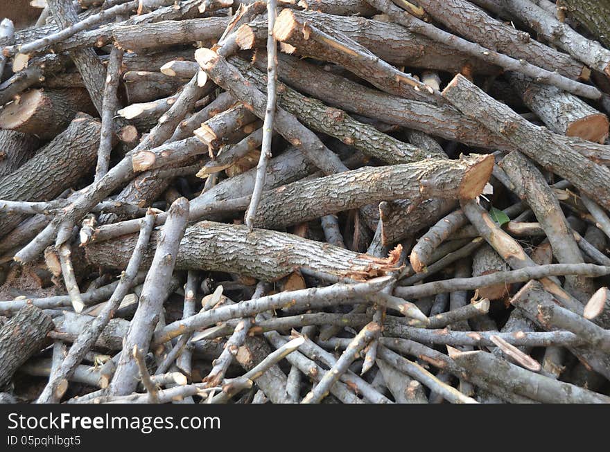 Cutting wood in the Southern state of India. Cutting wood in the Southern state of India