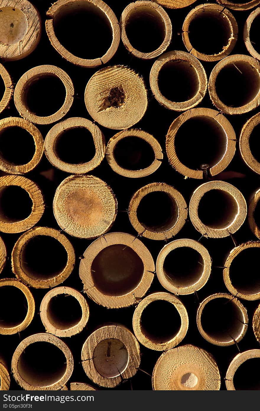 Stack of bamboo