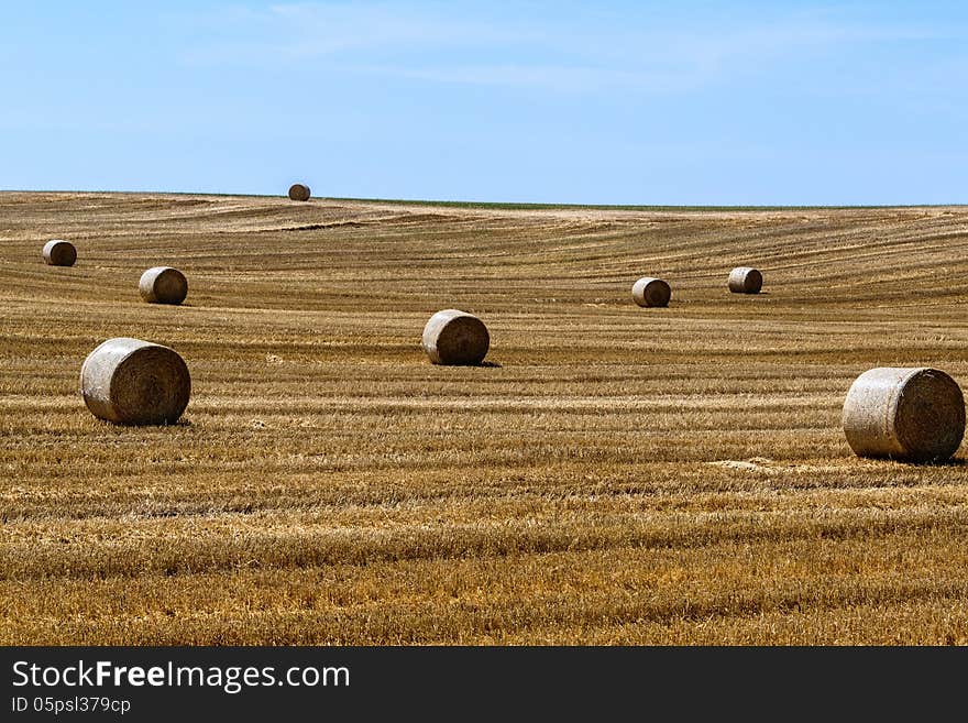 Straw field