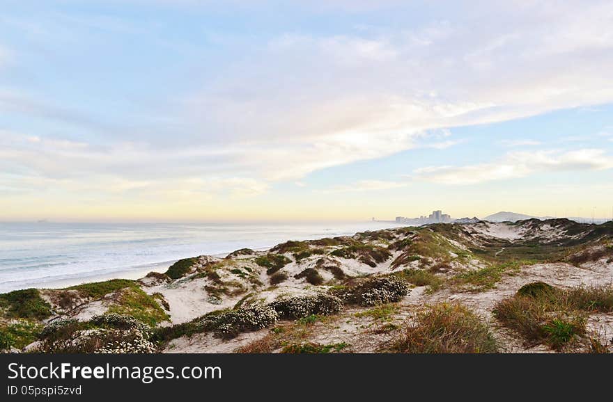 Landscape with dune grass on an atlantic ocean beach