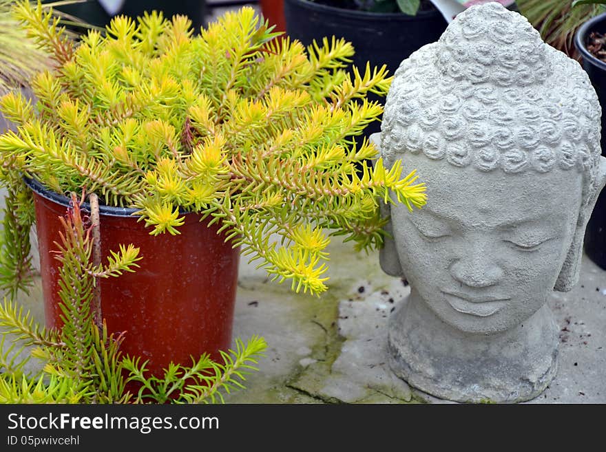 Decorative Garden Buddha