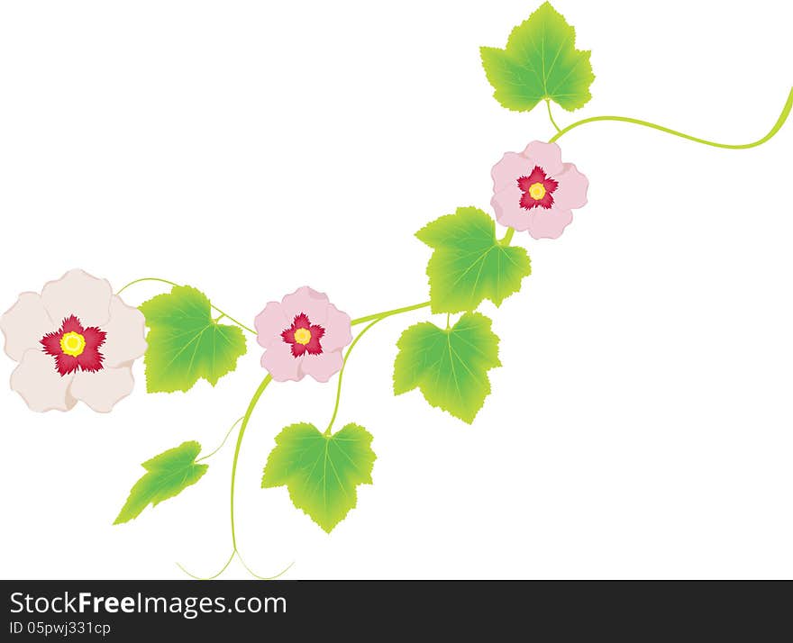 Vector image of pretty garden flowers