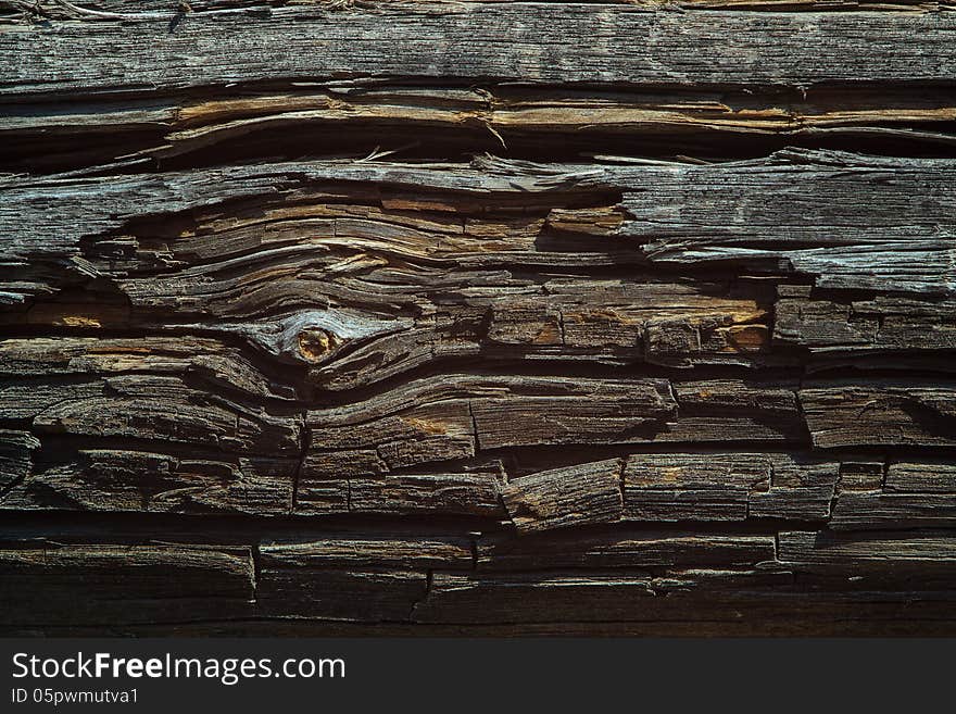 Old wood texture with a broken branch