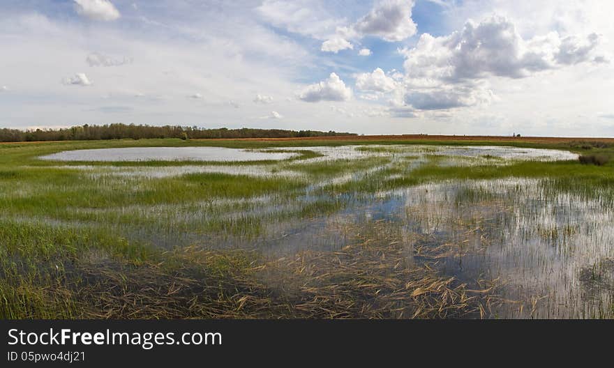 Landscape panoramic lagoon wetland or upland plain field. In spring. El Burgo Ranero. Leon. Spain. Landscape panoramic lagoon wetland or upland plain field. In spring. El Burgo Ranero. Leon. Spain