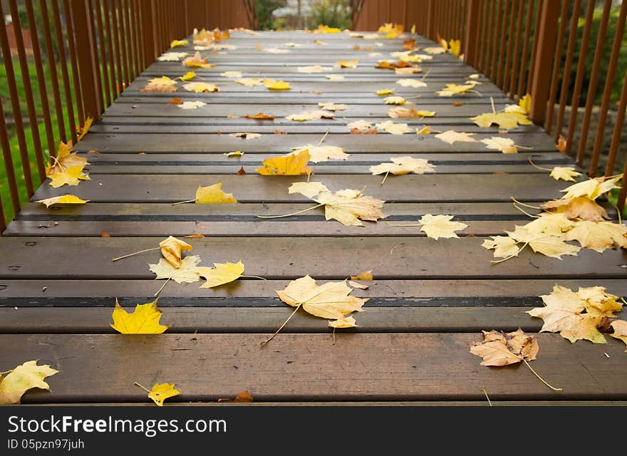 Autumn maple leaves on a bridge