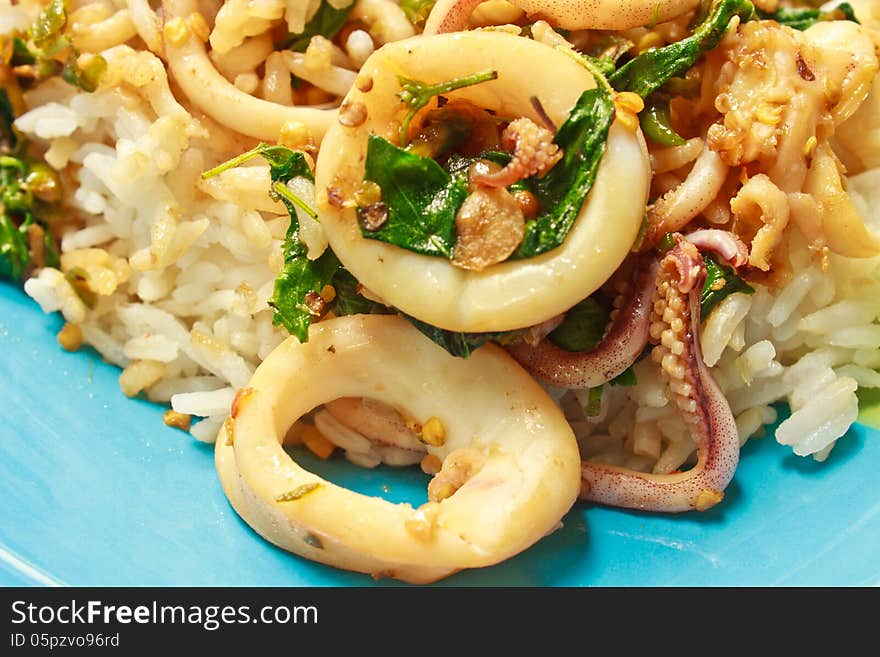 Squids fried with chilli pepper and sweet basil on rice