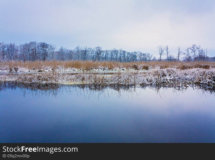 Wild Bog. Russian Nature In Winter. Wild Bog. Russian Nature In Winter