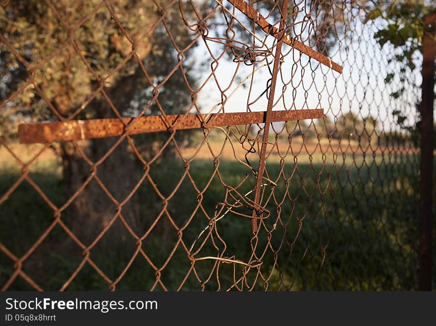 Old iron fence