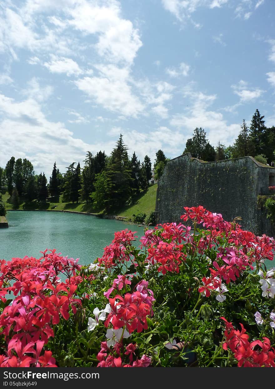 Well designed beautiful park with a pond. Well designed beautiful park with a pond