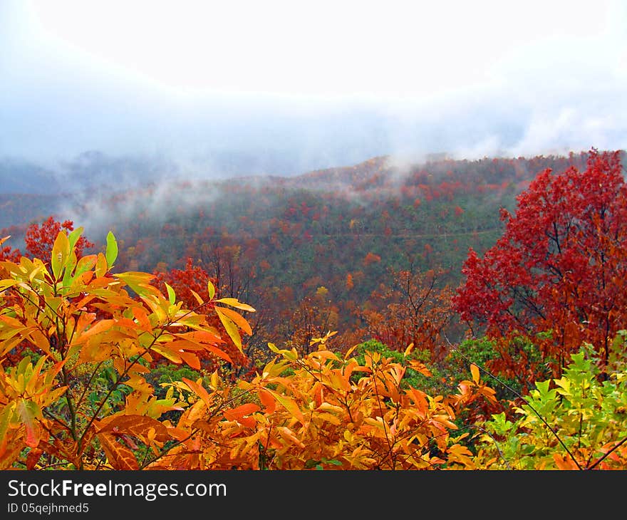 Autumn landscape in the mountains