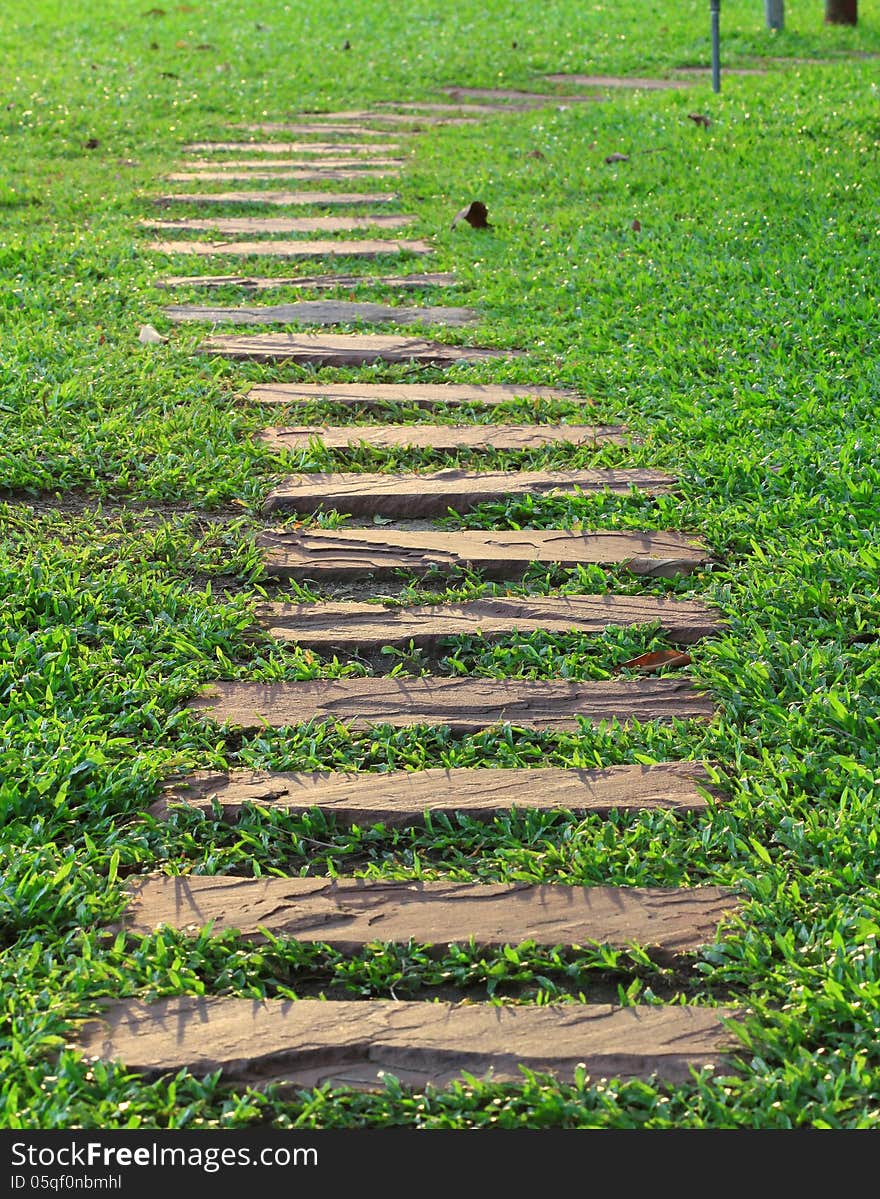 Walking path in the green field