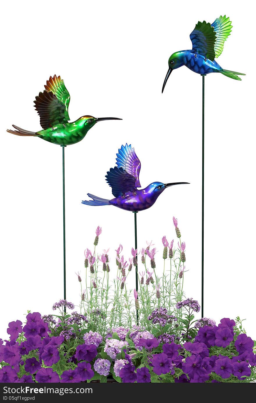 Decorative hummingbirds with purple flower on white background