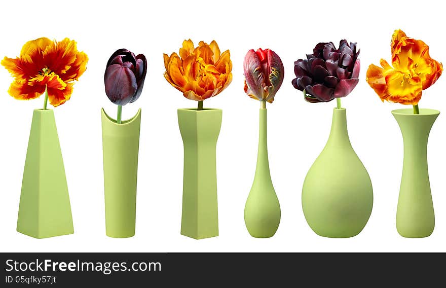 Tulips In Green Vases On White Background