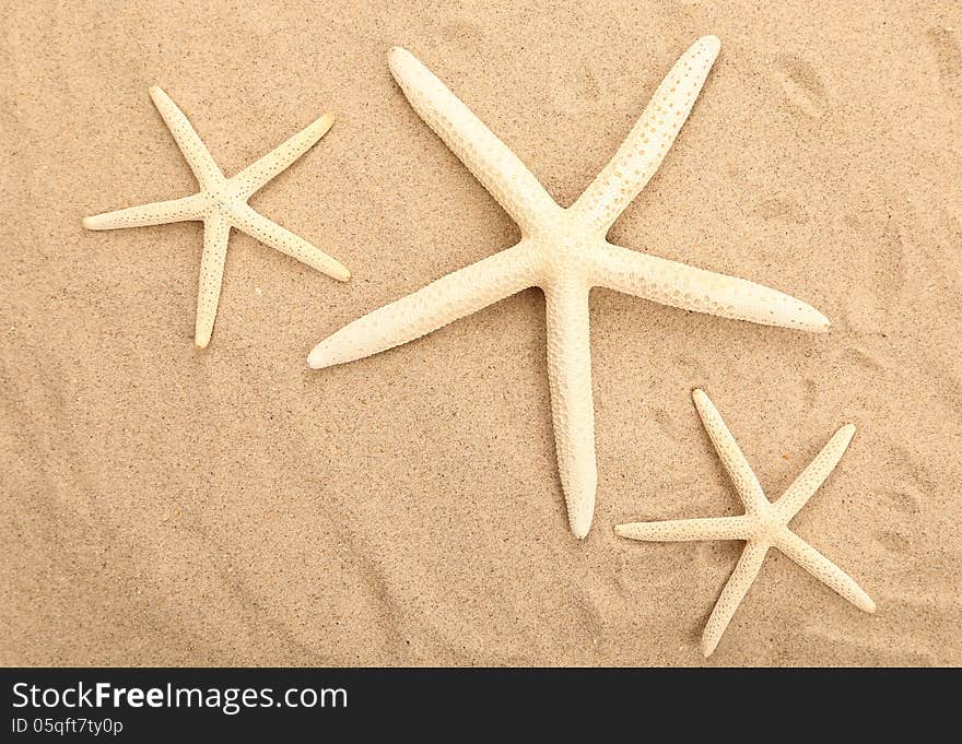 Three starfishes is located on sandy background