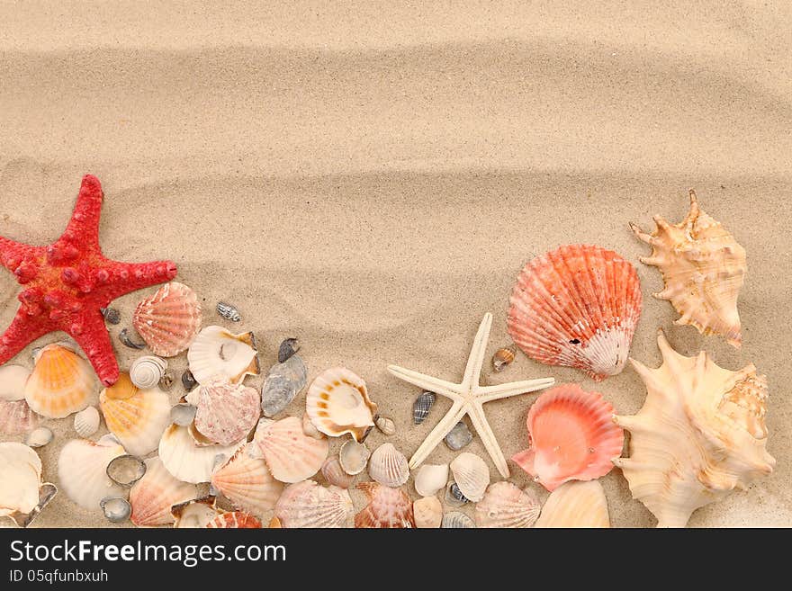 Lot of shells and seastars on sandy background. See my other works in portfolio.