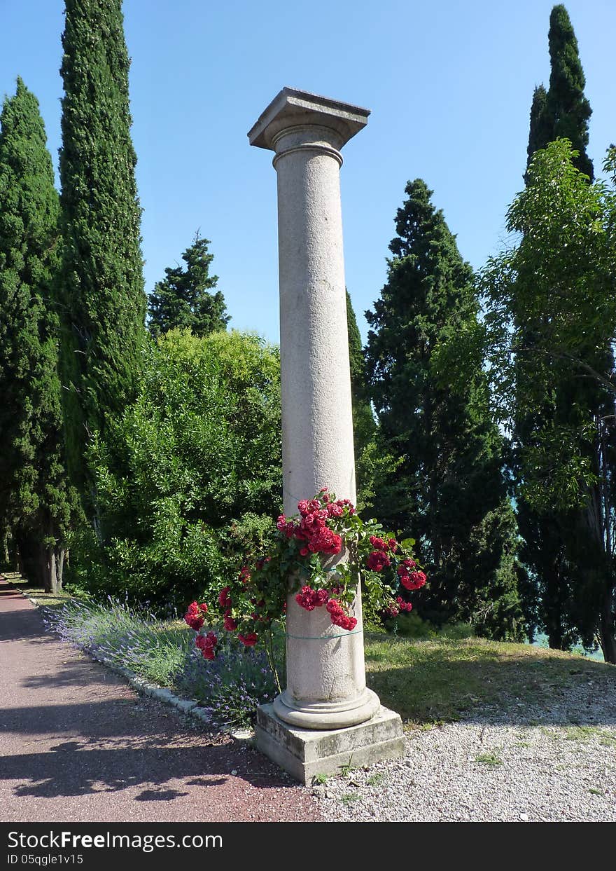 Garden Decoration