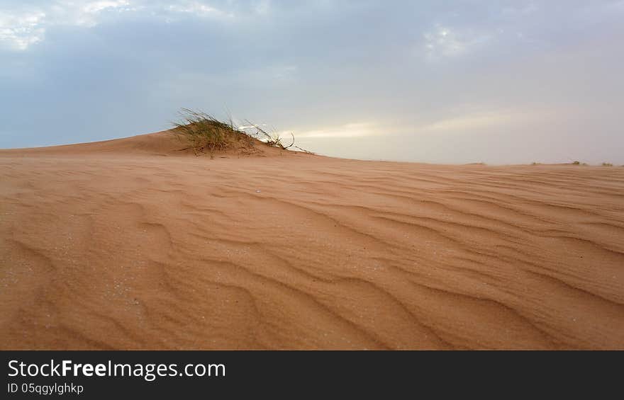 Sand dunes in Mauritania