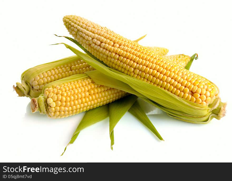 Fresh corn fruits with green leaves on white background