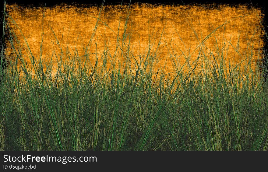 Close up Wheat Grass with Textured Background in Orange