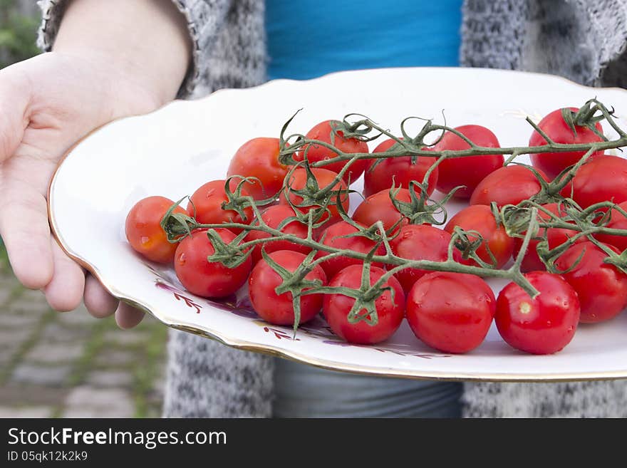 Cherry Tomatoes In The Hands On A Platter