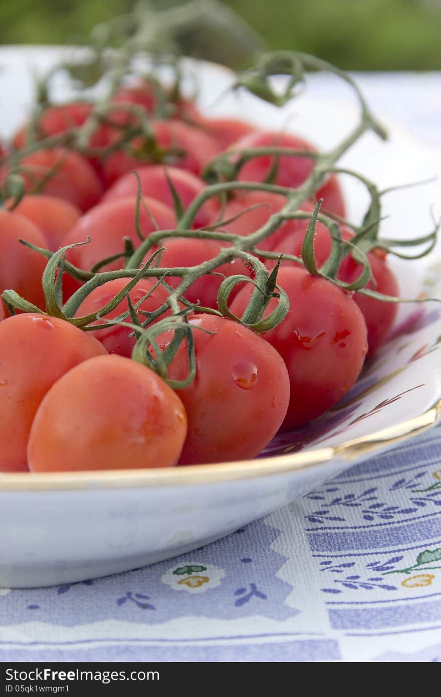 Cherry tomatoes plate tablecloth blue striped flower picture red and green agriculture