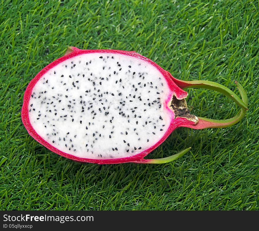 Vivid Dragon fruit on a grass