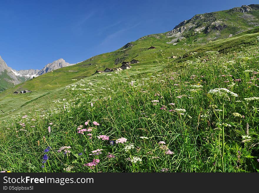 Grand St. Bernard Region, Italian Alps, Aosta Valley.