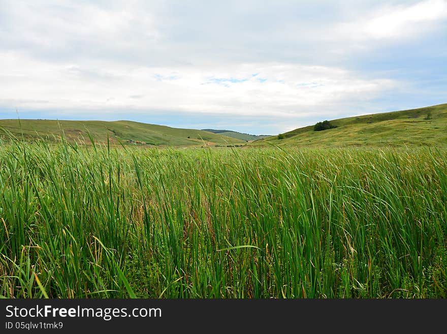 Lanscape With Reed And Hills