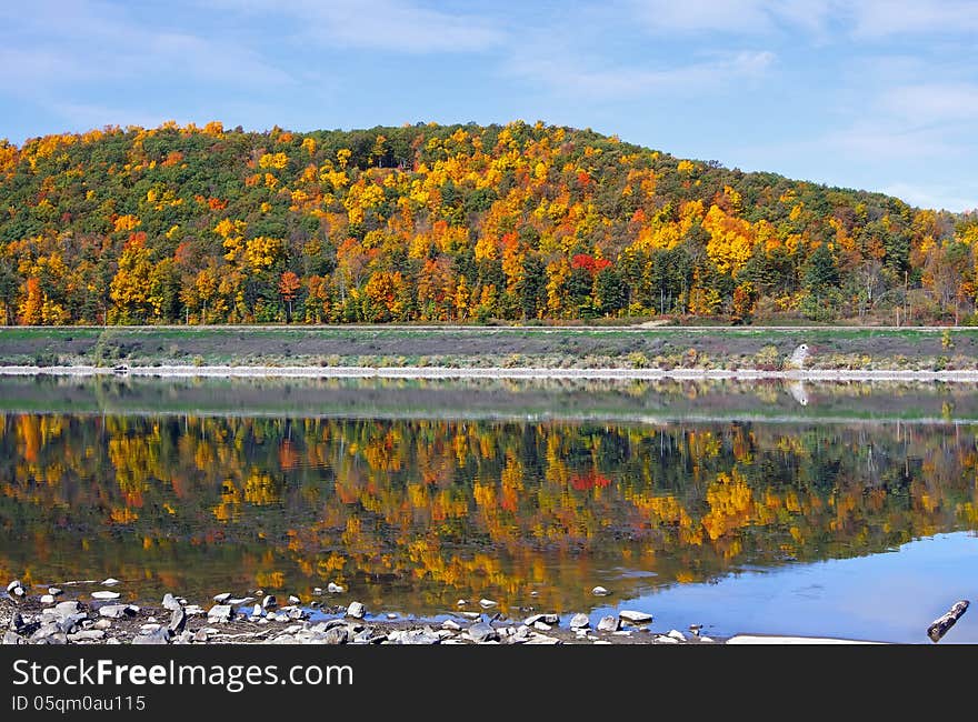 Autumn Reflections