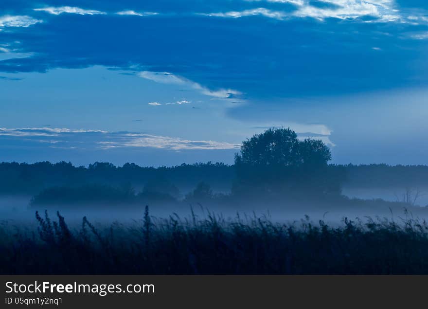 Evening In A Foggy Valley