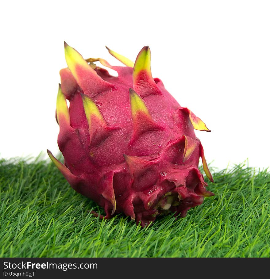 Vivid Dragon fruit