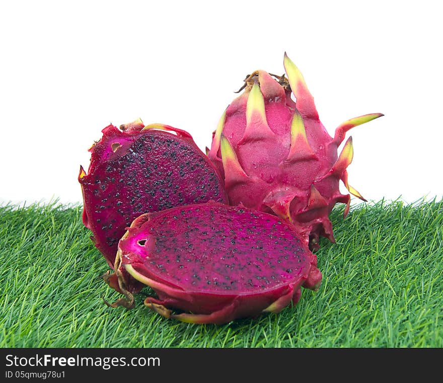 Vivid Dragon fruit