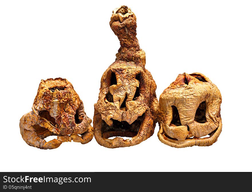 Three Dried Pumpkins