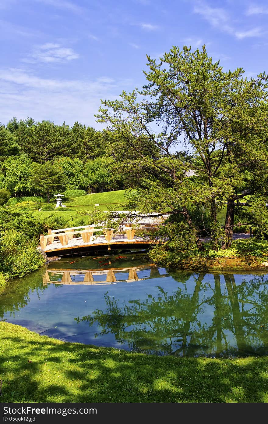 Japanese garden with the koi pond in the foreground