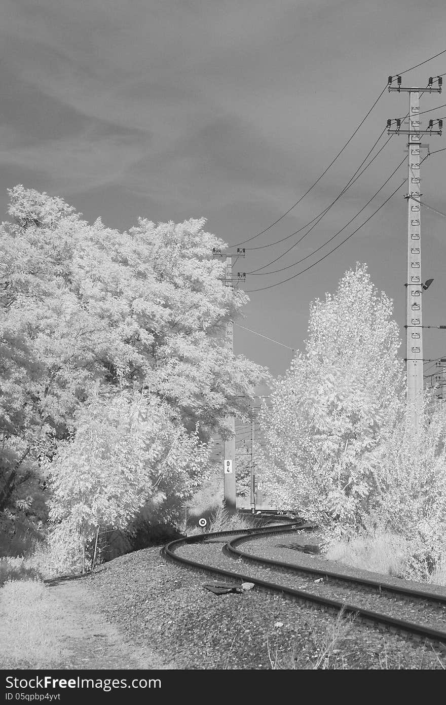 Monochrome black and white railway tracks and masts, the tracks leading into a world of trees and brush. The shot was taken in infrared light, which renders all clorophyll- containig plant in white color. Monochrome black and white railway tracks and masts, the tracks leading into a world of trees and brush. The shot was taken in infrared light, which renders all clorophyll- containig plant in white color.