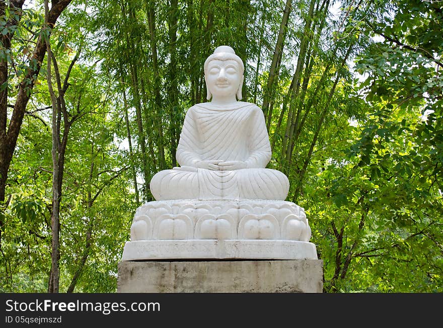 White Buddha statue in bamboo garden