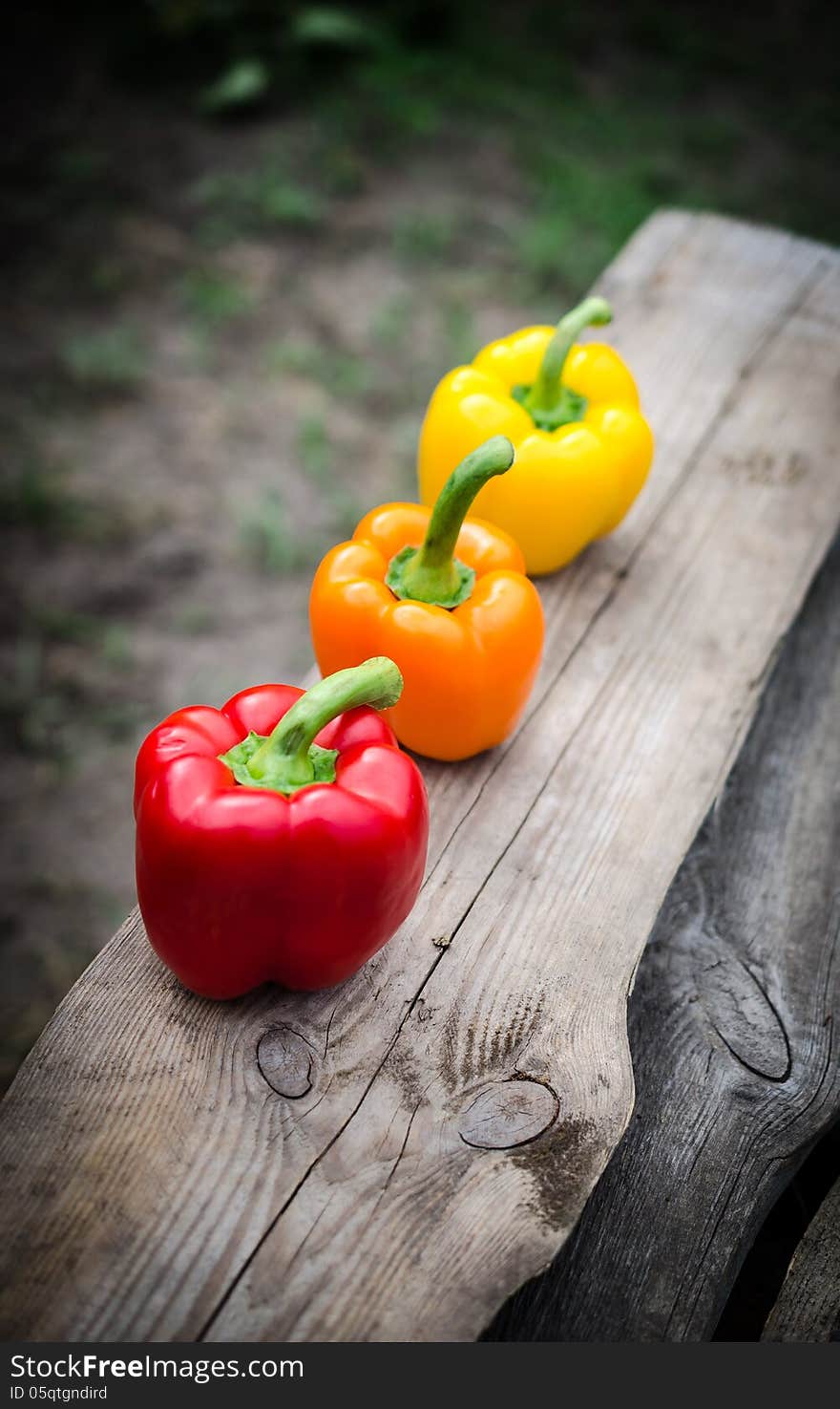 Red, orange and yellow bell peppers