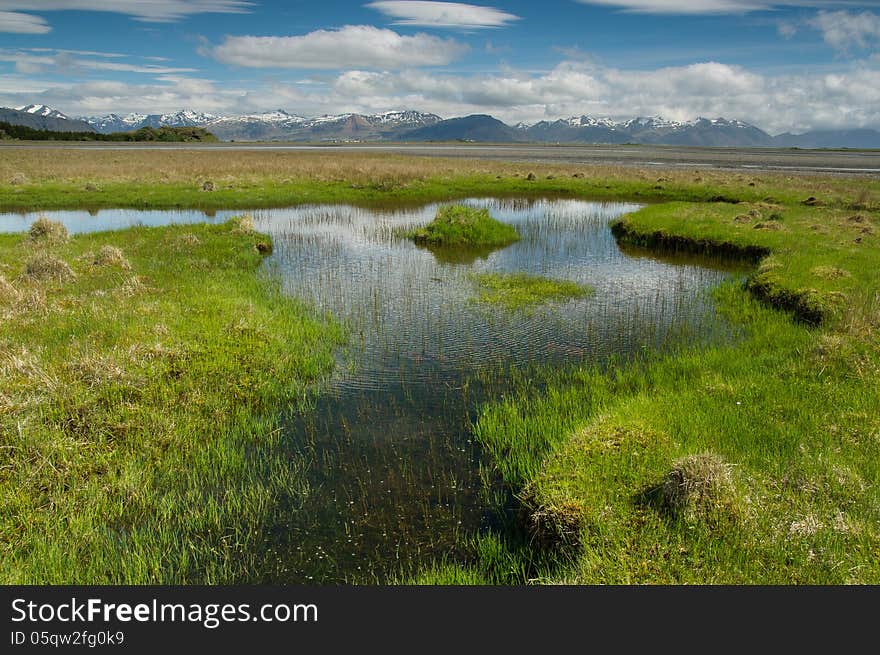 Summer in Iceland