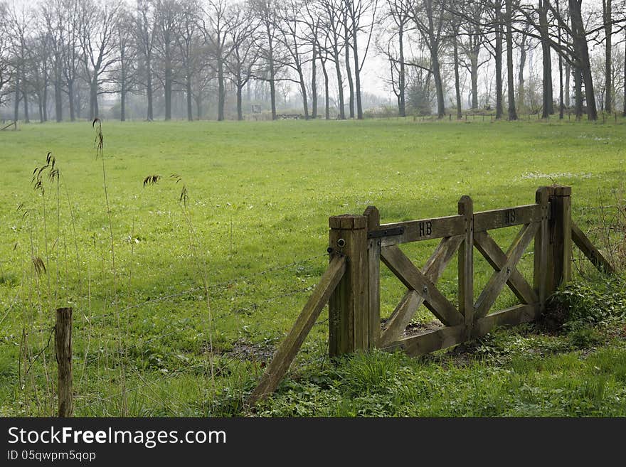 View at a green meadow with a handmade wooden fence