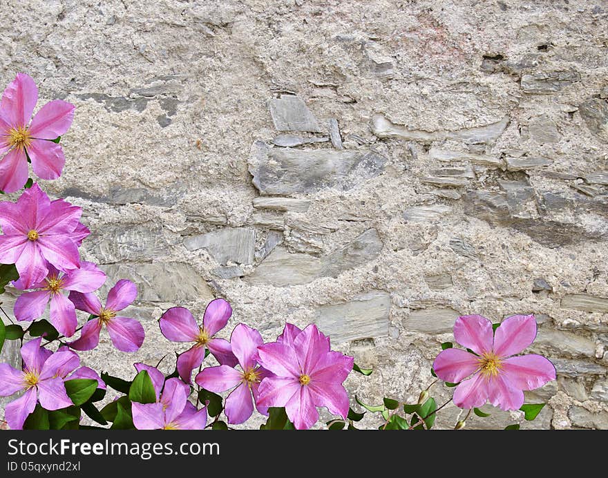 Old stony wall and pink flowers - background. Old stony wall and pink flowers - background