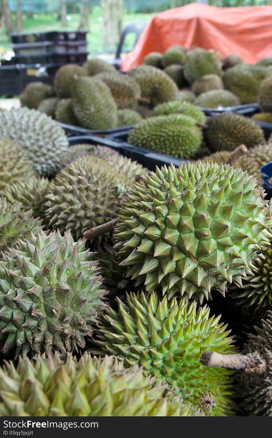 Baskets Of Durians