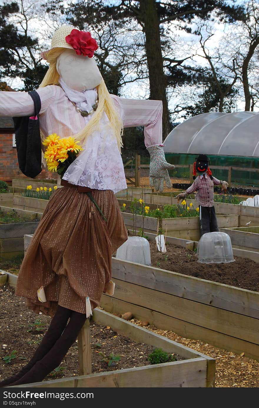 Colorful and frightening scarecrows in Dorset vegetable patch