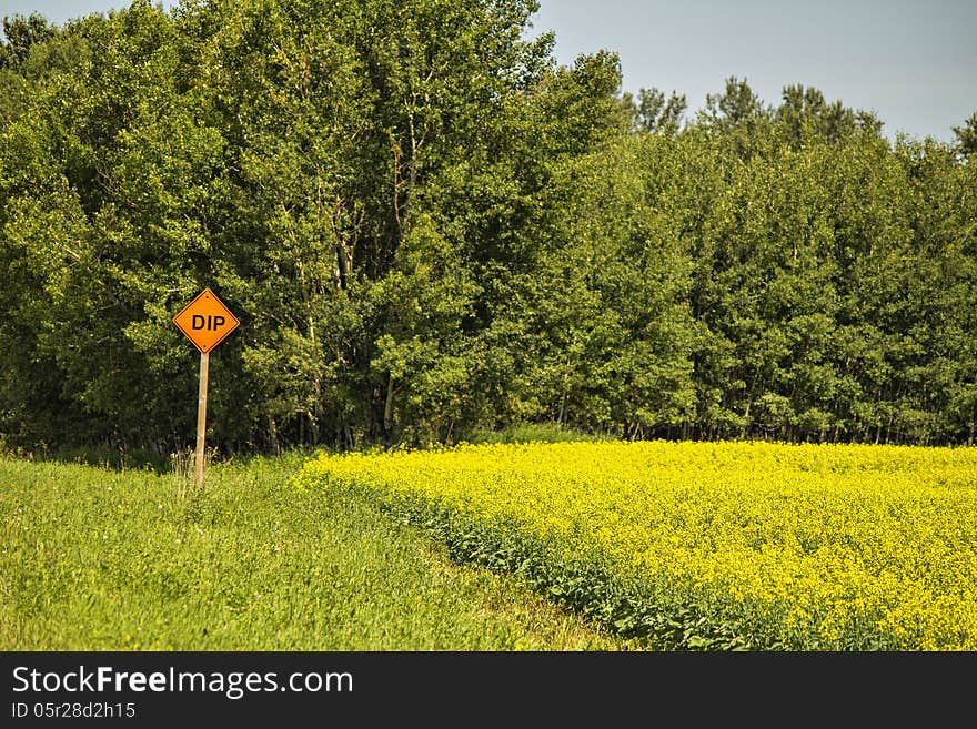 A warning sign of a dip in the road.