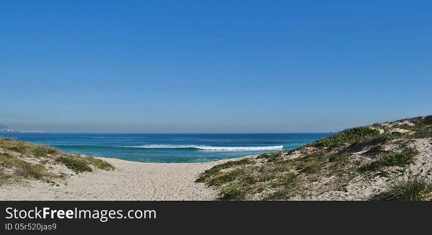 Landscape with dune grass on an atlantic ocean beach. Landscape with dune grass on an atlantic ocean beach