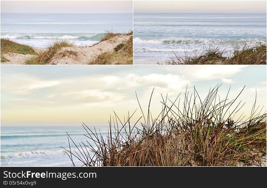 Landscape collage with dune grass on an atlantic ocean beach