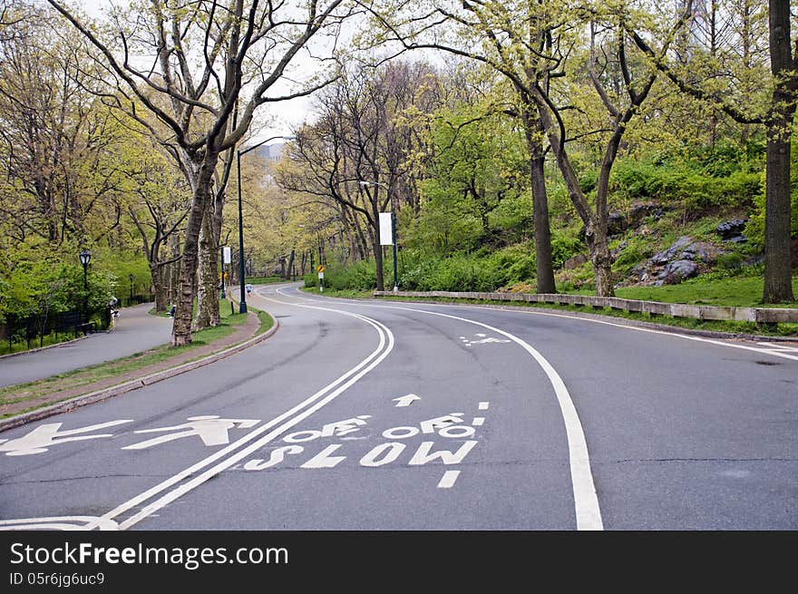 Street in Central park, New York City.