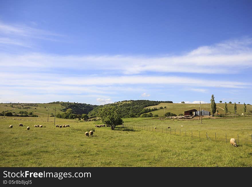 Mountain farm with sheeps