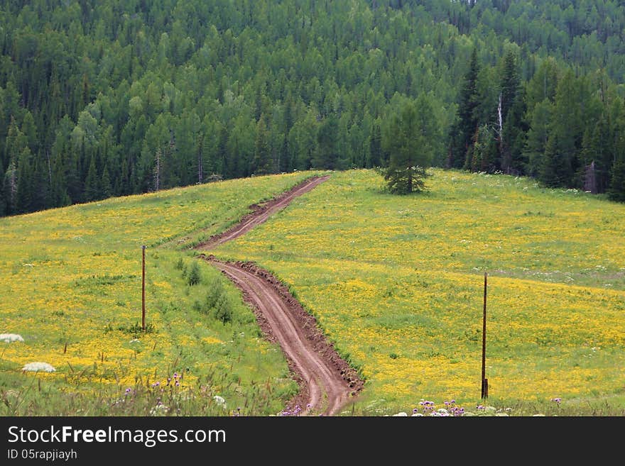 Dirt road through natural landscape